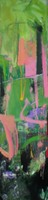 Rain Forest 1